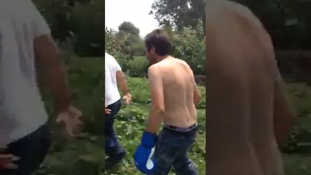 Адыгэ бокс 2017г.