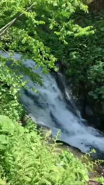 Горы это 💔 #shorts