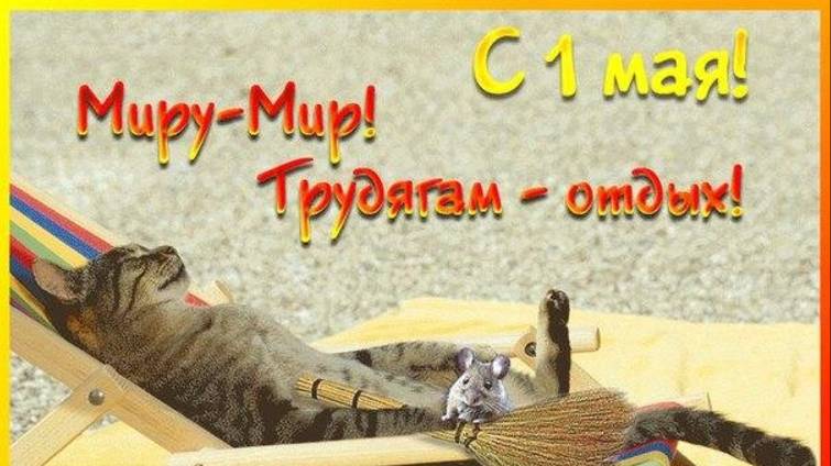 С первомаем! смотреть онлайн