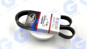 Приводной ремень Дастер, Аркана, Кашкай 7PK1165SF Gates