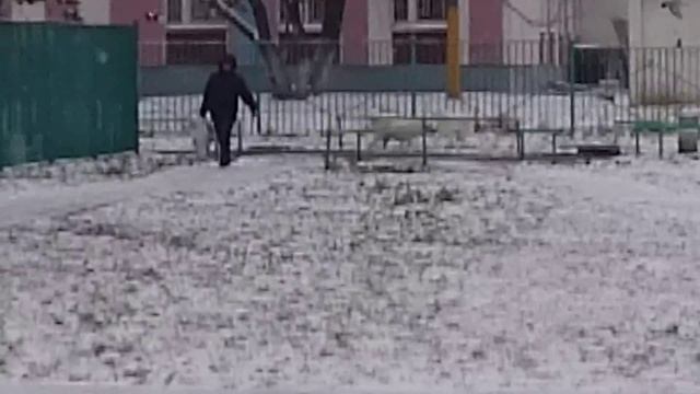 Снежка и Роза за домом