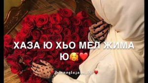 Хаза ю хьо мел жима ю