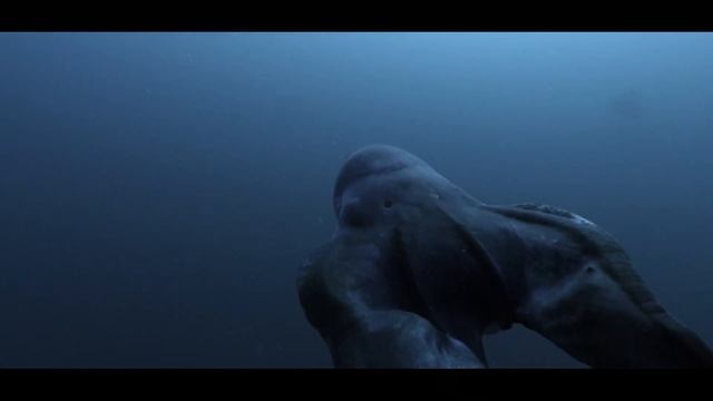 Невероятное Открытие НАСА: Жизнь На Юпитера Есть?