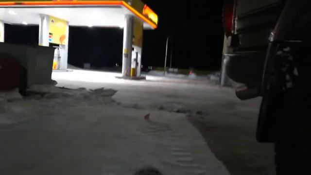 Лиса. Оха. смотреть онлайн