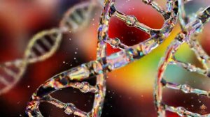 27-04-2025  Квантовая матрица Гаряева. Активация молодости.