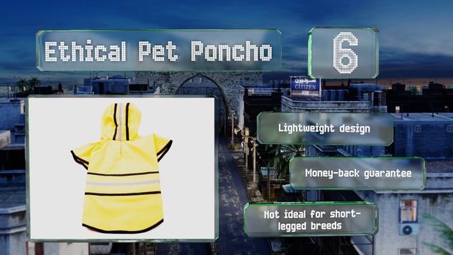 10 Best Dog Raincoats 2020 смотреть онлайн