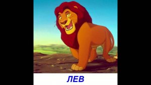 Видео для малышей - Дикие животные.  Презентация  по Доману.