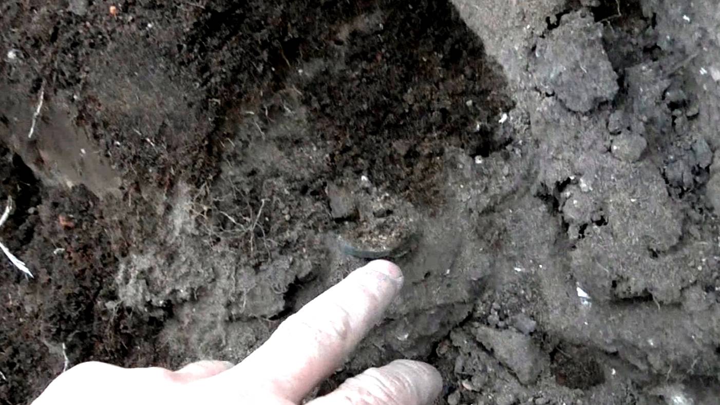 Пятак Елизаветы.Балдежный. смотреть онлайн