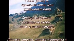 Мимино Чито   Гврито перевод в стихах