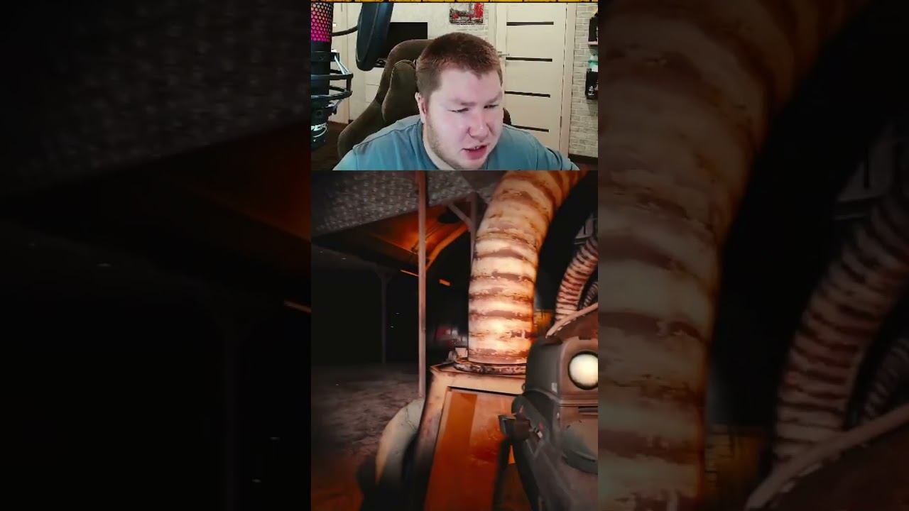 Когда знаешь музыку Сталкера наизусть смотреть онлайн