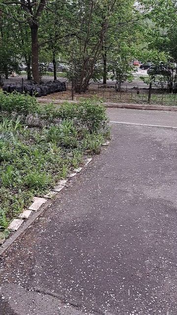 #снегвмае #майскийснег #снегмайворонеж #снегпередмайскимипраздникамивворонеже #снегопад