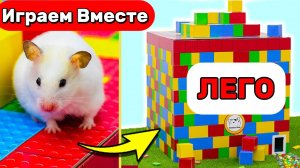 Хомяк в ЛЕГО-лабиринте с Фортнайт, Майнкрафт и Марио 🐹🎮 Приключения Умного Хомяка 🐹🎮