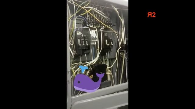 Очередной прорыв трубы в эпоху Рухмаковой смотреть онлайн