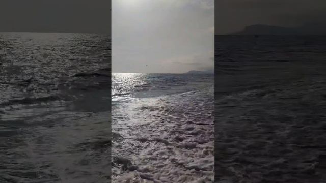 МОРЮШКО ШУМИТ И РАДУЕТ..