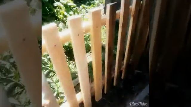 VBLOG:в гостях у бабушки! !!