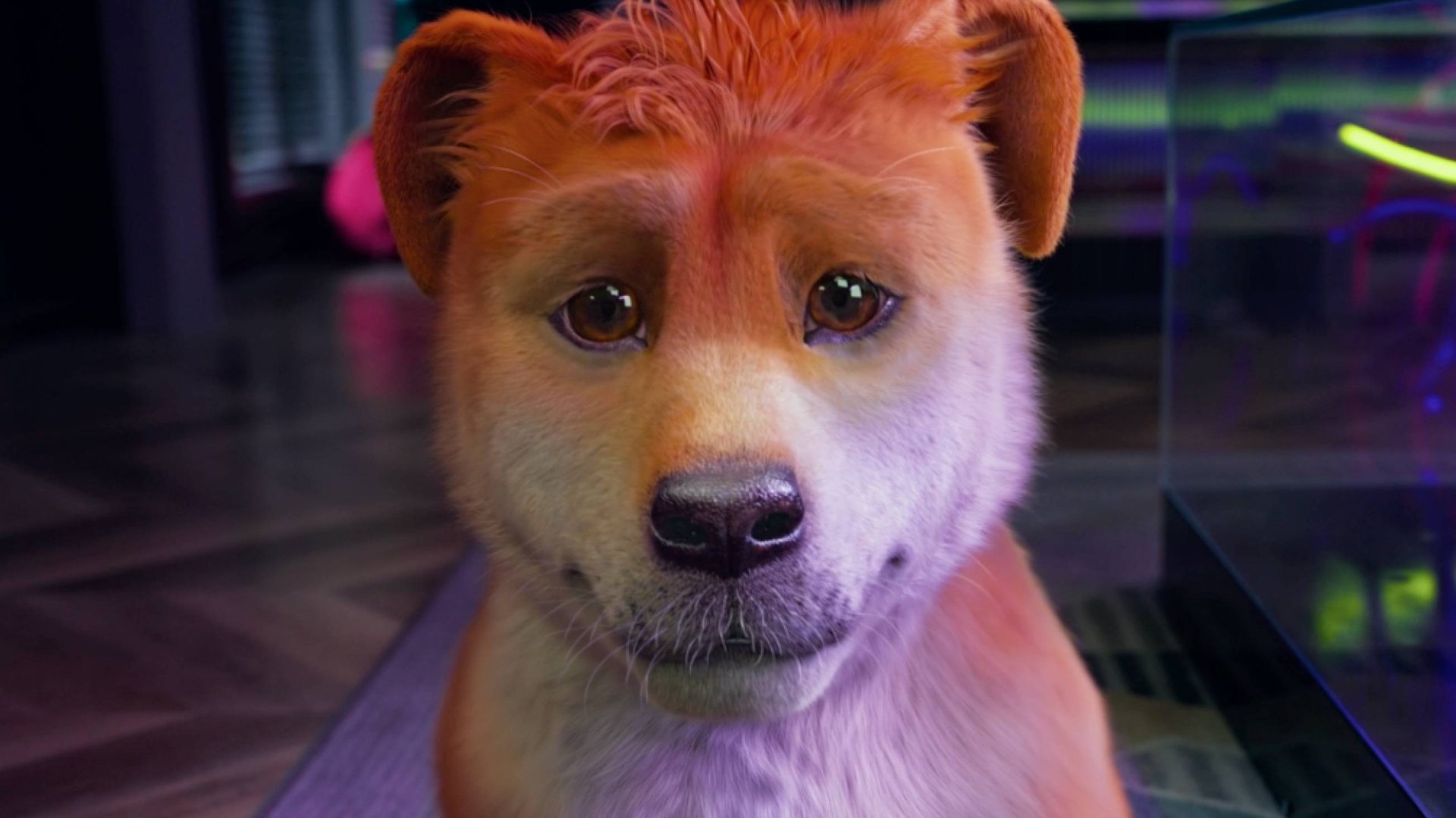 Пёс из будущего | Русский трейлер | Фильм 2025 смотреть онлайн