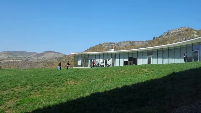 COAF Smart Center смотреть онлайн