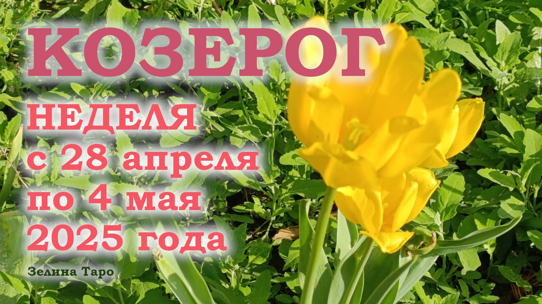 КОЗЕРОГ | ТАРО прогноз на неделю с 28 апреля по 4 мая 2025 года