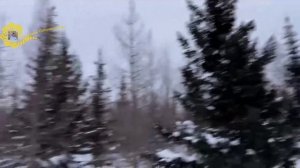 Полярный Урал. Гора РайИз. Февраль 2025.