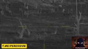 Подборка работы российских снайперов в зоне СВО