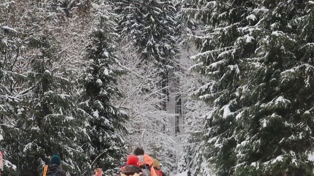 Travny - Чешские горы!