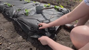 Не правильное агроволокно, не Туды и не Сюды.