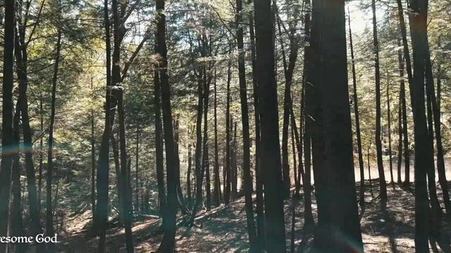 Час красивых инструментальных гимнов 🎵 Мирная и расслабляющая музыка 🌈 [Музыка без рекламы] смотреть онлайн