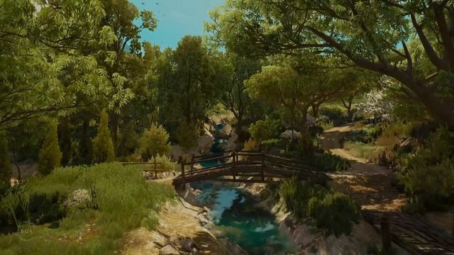 Ведьмак 3 🌿 Туссент 🌹 Эмоциональный и расслабляющий саундтрек 🎶 [Музыка без рекламы] смотреть онлайн
