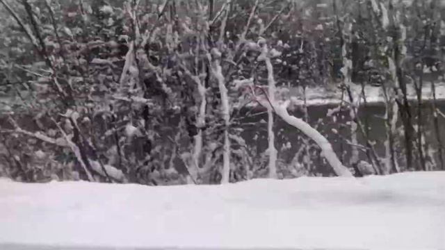 Саяны 29.10.2015 (3)