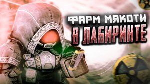 STALCRAFT X | СКОЛЬКО Я ЗАРАБОТАЮ ЗА ЧАС ФАРМА НА МЯКОТИ? | СТАЛКРАФТ | #stalcraftx #сталкрафт