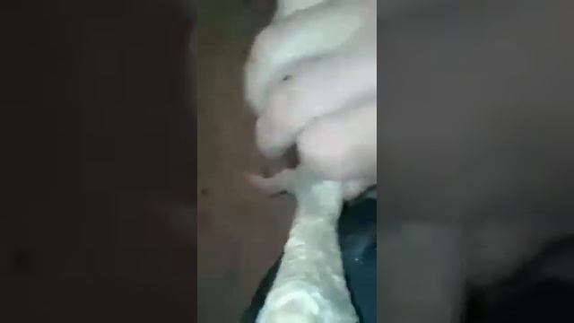 Дакан х охи вахдат смотреть онлайн