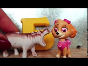 Видео для малышей. Изучаем буквы и животных вместе со Скай