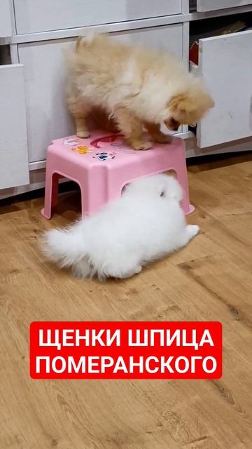 18 декабря 2023 г.