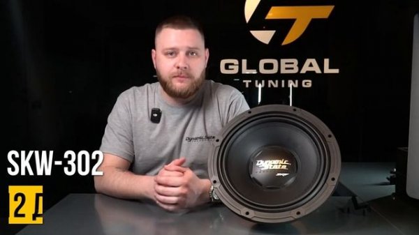 ОБЗОР НА САБВУФЕРЫ SKIF DYNAMIC STATE │SKW-164│SKW-202│SKW-252│SKW-302│ ПОДБОРКИ РАЗНЫХ БЮДЖЕТОВ