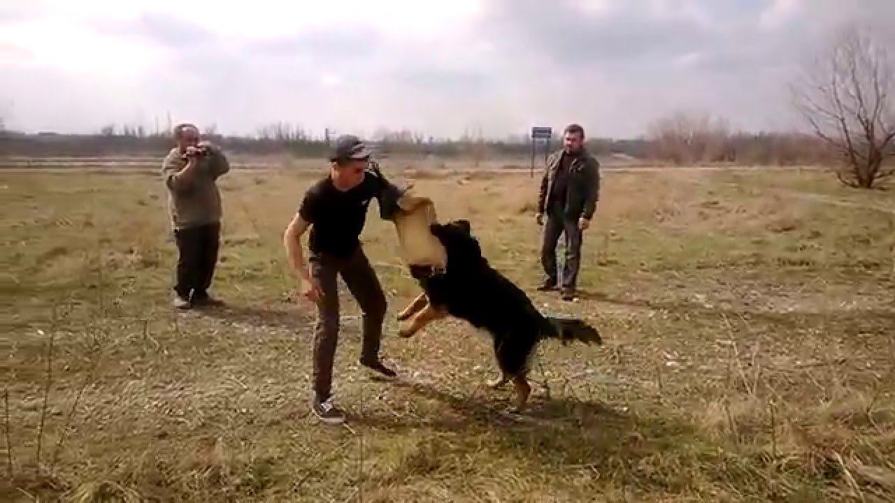 нео нкд охрана