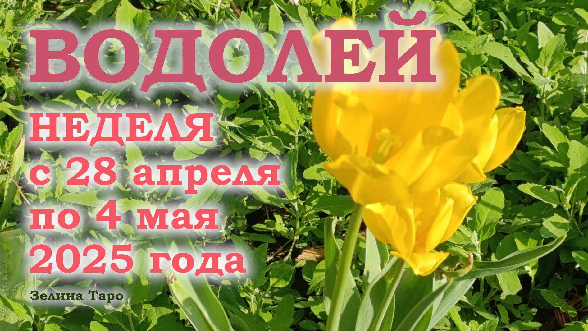 ВОДОЛЕЙ | ТАРО прогноз на неделю с 28 апреля по 4 мая 2025 года