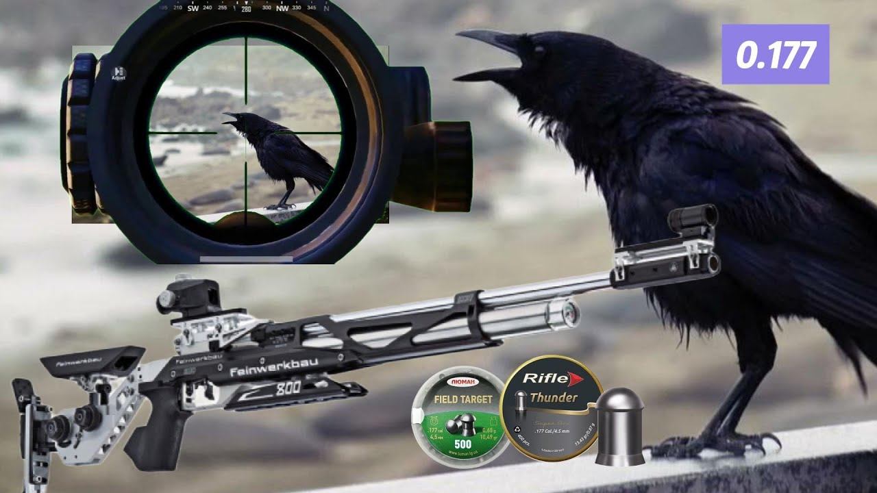 Стрельба из РСР. Тест пуль 0.68 против 0.87 гр. смотреть онлайн