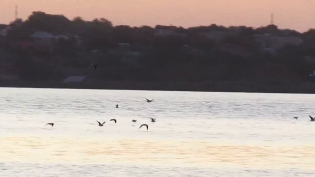 Варварівка смотреть онлайн