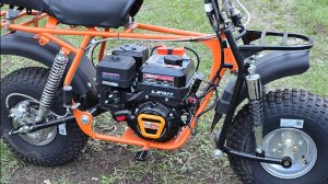 скаут САФАРИ ЧАСТЬ 1