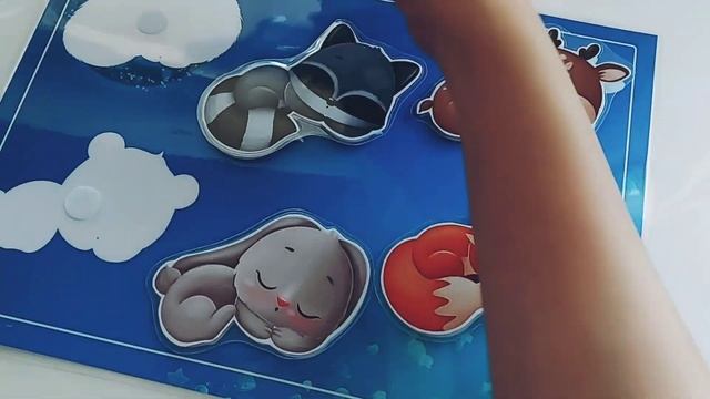 Сонные животные