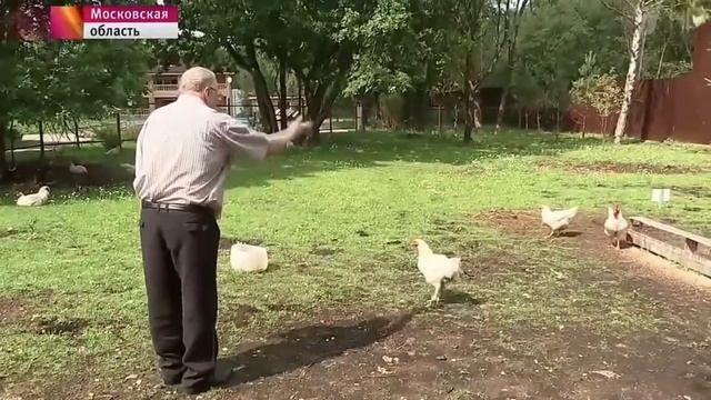 Жириновский ушёл в отпуск... смотреть онлайн
