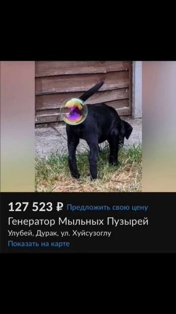 автио #смех #авито