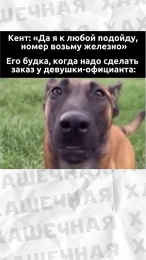 Мемы есть мемы #приколы #мемы #мем #лютыеприколы #хахашечная