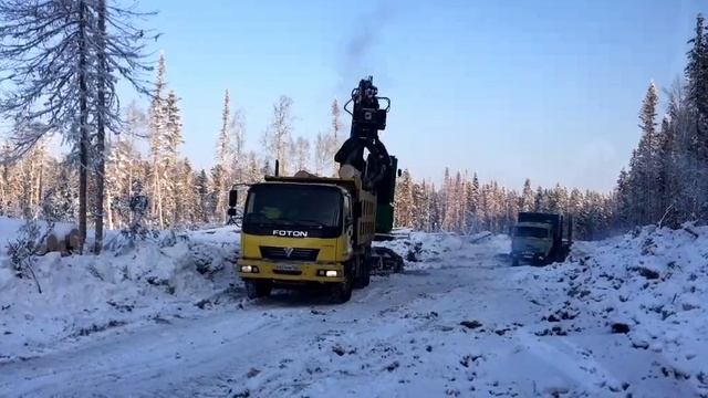 Полная машина 30 сек 😁🌲🌲🌲 #logger #лесозаготовка #дровосек #лесоруб #johndeere #погрузчик