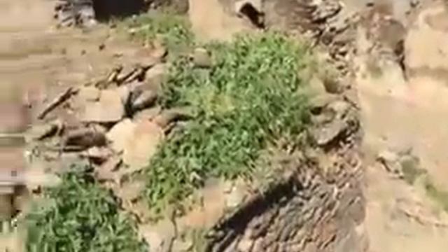 Дагестан тлярата село хадиял смотреть онлайн