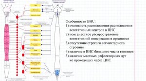 68 Общая характеристика ВНС