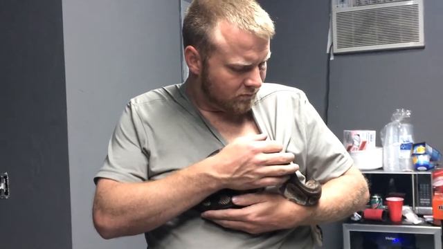 Mark Gingrass Python Snake Cuddling while Drunk смотреть онлайн