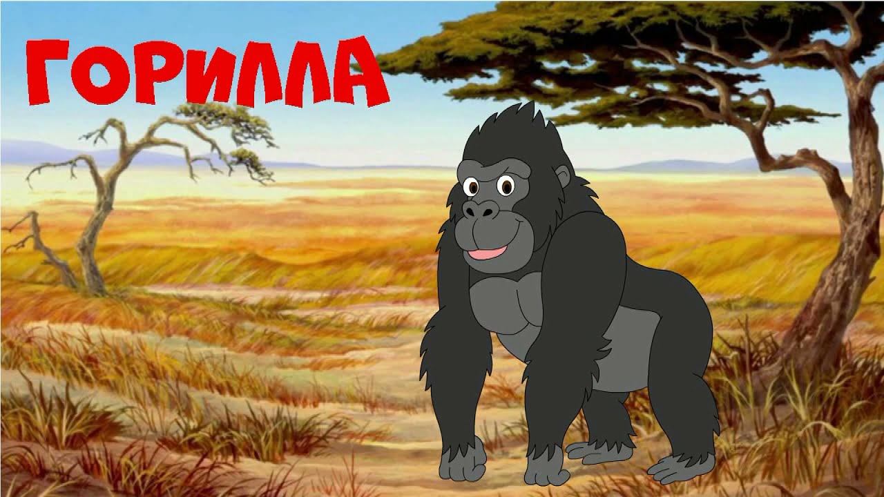 Мультик про животных для детей. Животные Африки и звуки животных. смотреть онлайн