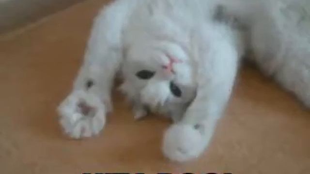 23 июня 2021 г. смотреть онлайн