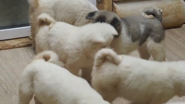 10 декабря 2022 г. смотреть онлайн